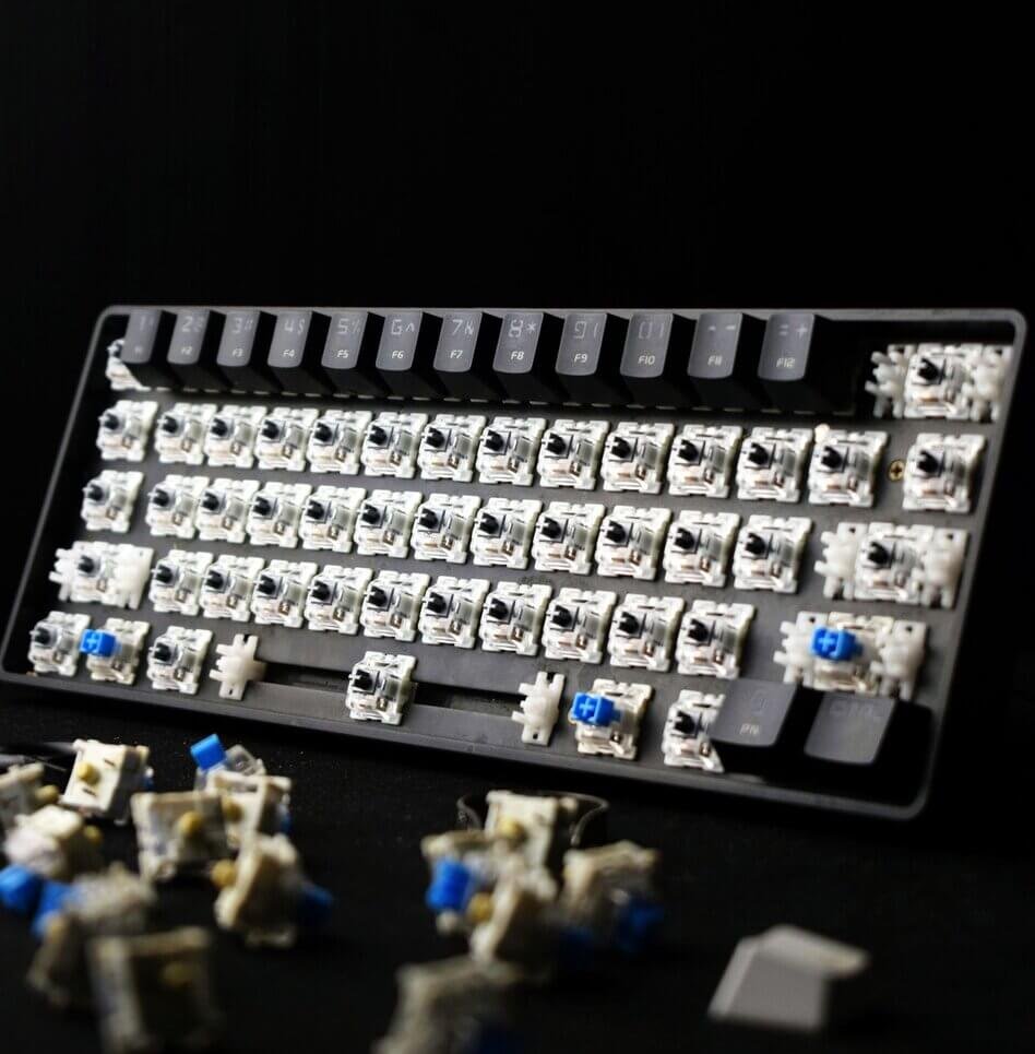 dissasambled keyboard with mechanical switches and keys