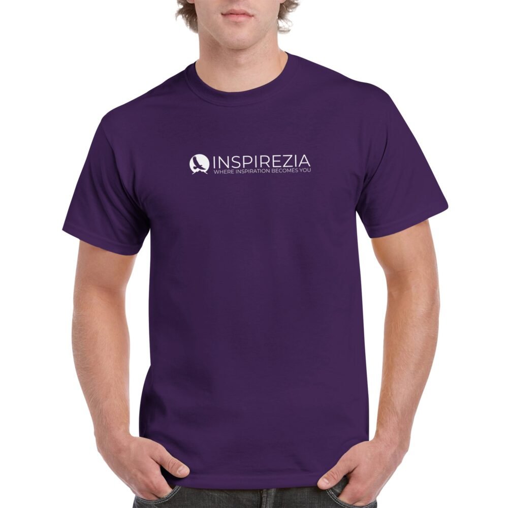 INSPIREZIA inspiring logo t shirt